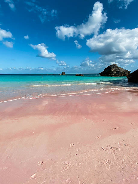 istock Pink Sand Beach and Turquoise Sea in Bermuda 2230936013