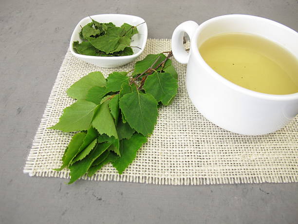 istock A cup of tea from dried birch leaves 2230939856