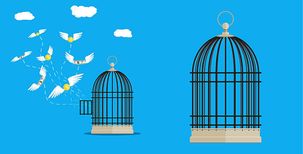 istock Flying money with wings escaping an open bird cage 2230942752