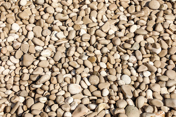 Smooth beige and white pebbles densely cover the ground on a pebble beach under natural sunlight, creating a textured and calming background perfect for nature-themed or coastal projects.