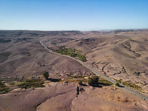 istock Oasis and road in the desert 2230945861