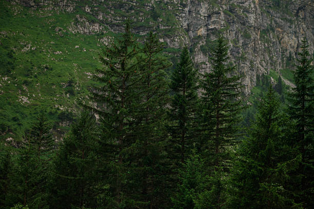 Swiss valley in front of Klausenpass