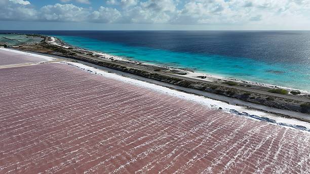 istock Beachfront Road At Kralendijk In Bonaire Netherlands Antilles. 2230948623