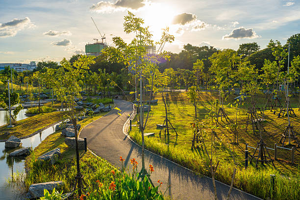 istock Pathway road in city green tree park tropical forest 2230952607