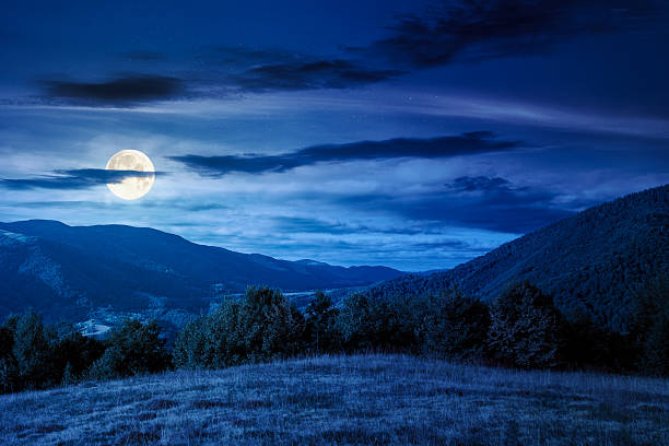 istock mountain landscape with forest on the hill in autumn at night 2230954392
