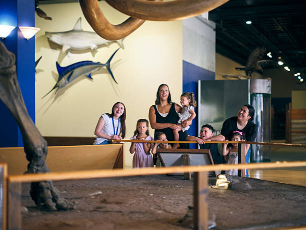 istock Columbian Mammoth Fossil Display in a Museum 2230958870