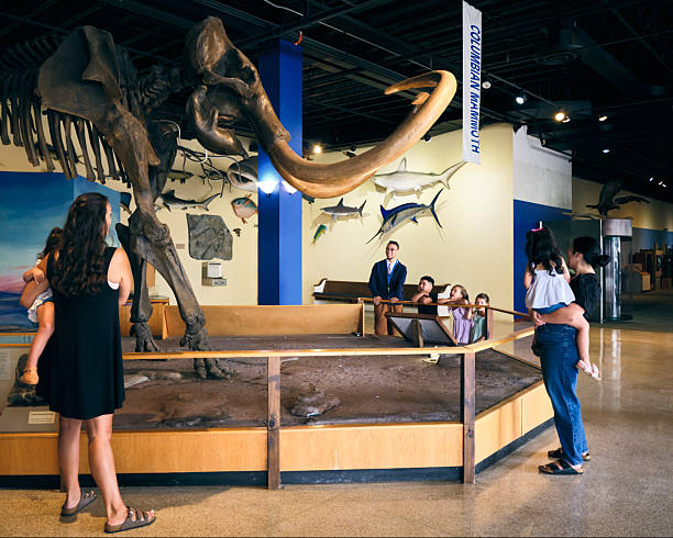 istock Columbian Mammoth Fossil Display in a Museum 2230958960