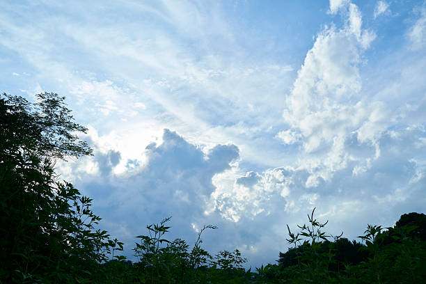 The sun shines from behind a veil of clouds, casting a dazzling, divine light. The dramatic gray clouds catch the light, giving their outlines a silvery sheen, and the deep blue sky peeking through gives the celestial stage an overwhelming sense of depth and power. It's a majestic moment woven by nature that takes your breath away and makes you look up in awe.
