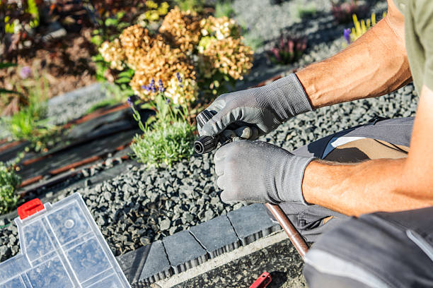 istock Gardener Repairing Irrigation System in Sunny Backyard During Spring Afternoon 2230965848