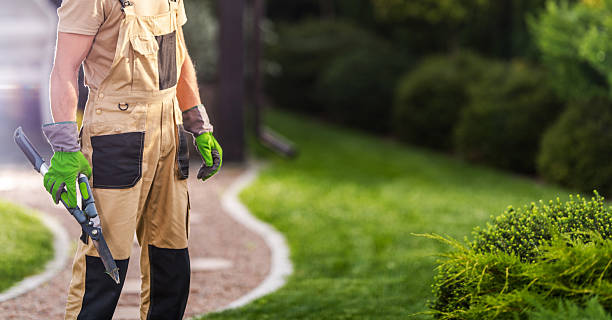 istock Caucasian Gardener Pruning Bushes in a Well-Maintained Landscape During Daylight Hours 2230966426