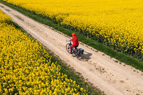 istock Riding bicycle in rural landscape 2230967621