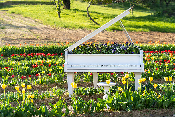 Flower beds in Shiroyama Park, Lake Tsukui, Sagamihara City, Kanagawa Prefecture, Japan
