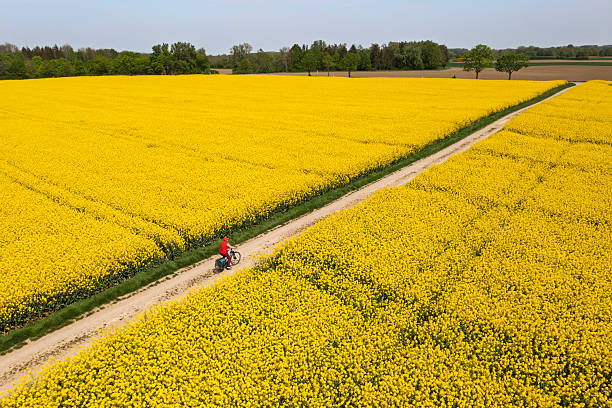 istock Rural landscape and female cyclist 2230968021