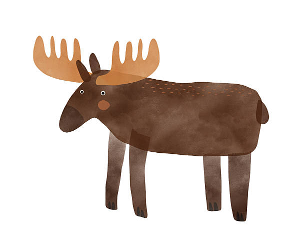 istock Illustrated Moose with Brown Fur and Large Antlers on White Background. 2230969517