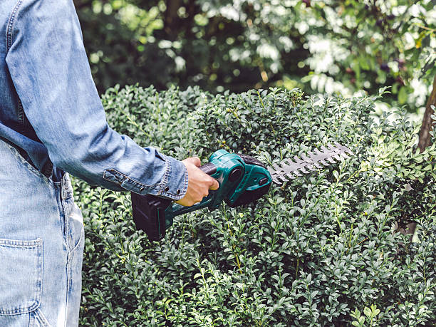 istock Cute woman, work clothes and hedge trimmer 2230973996