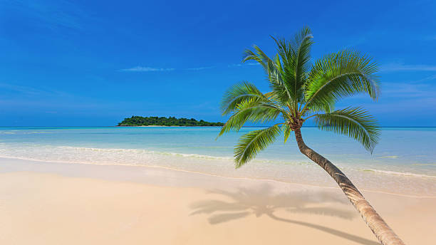 istock Beautiful seascape outdoors in summer 2230974761