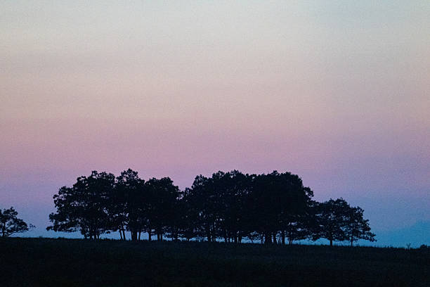 Trees silhouetted against the purple sky at dusk in Shenandoah National Park