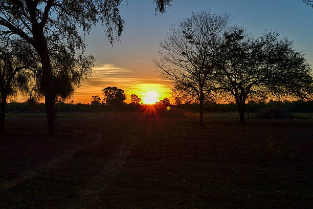 istock Golden Sunset Over the Rural Chaco Landscape 2230975633