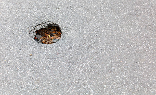 istock A hole in the road with leaves and debris in it 2230978447