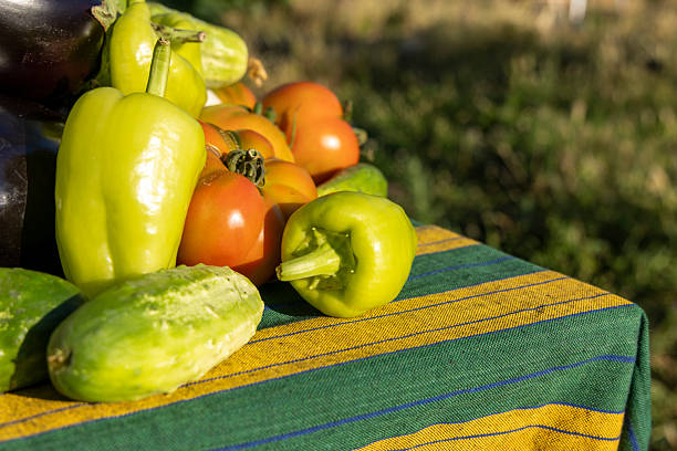 A table with a variety of vegetables including cucumbers, tomatoes, and peppers. The tablecloth is green and yellow