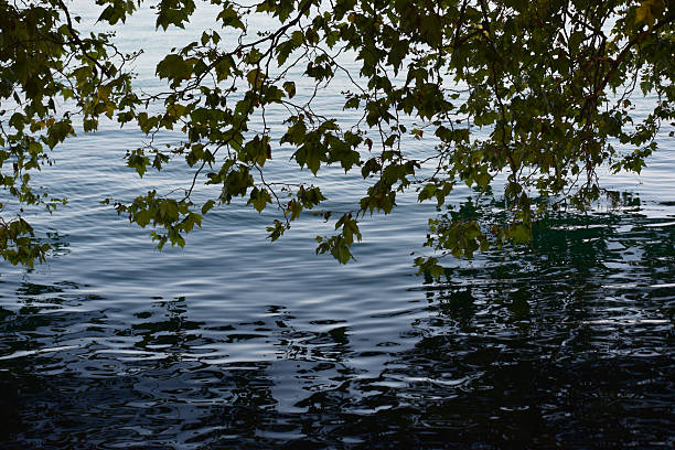 Evian, Lac Léman
