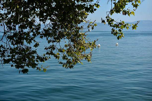 Evian - shores of the lake