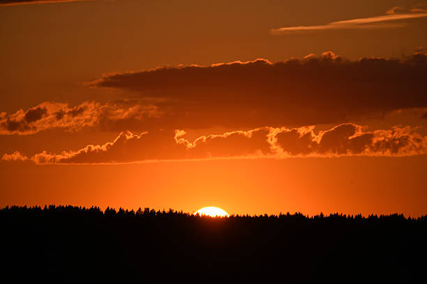 A bright sunset against a forest background. Dark forest and setting sun. Red sunset in summer.