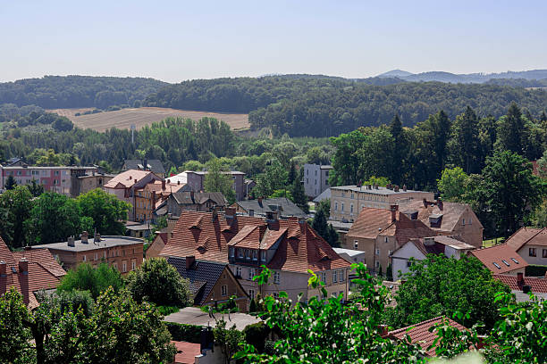 istock Rooftops of a small town surrounded by lush greenery in daytime 2230987176