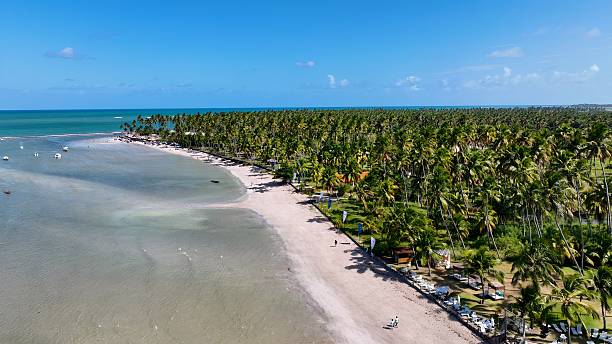 istock Northeastern Brazil Skyline At Tamandare In Pernambuco Brazil. 2230992798