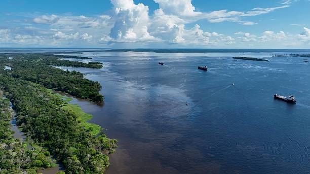 istock Stunning landscape of Amazon Forest at Amazonas State Brazil. 2230996501