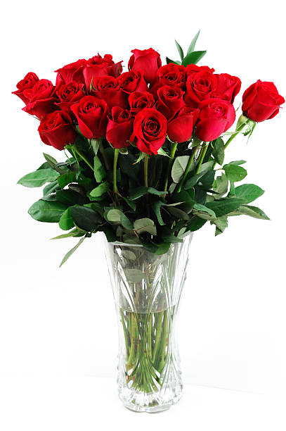 istock red roses in vase isolated on white background 2230999326