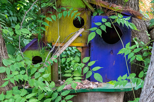 istock Cute colorful birdhouse hanging in a tree. 2231002608