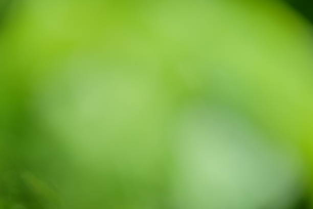 istock Abstract blurred green background with soft bokeh effect, creating a serene atmosphere, ideal for nature-themed designs and artistic projects, featuring vibrant hues and gentle light 2231008090