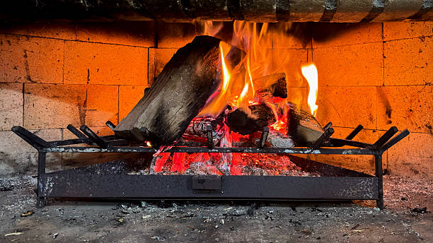 istock Fire Burning in a Fireplace with a Metal Grate 2231008103