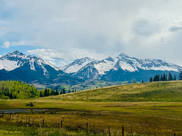istock Mountains Telluride, CO field with trees 2231013521