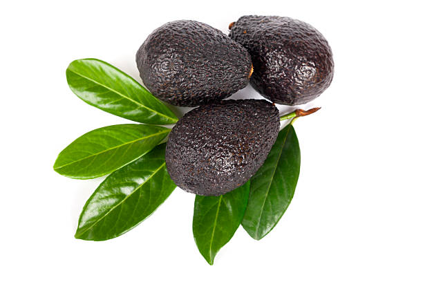 Delicious avocados with leaves on white background