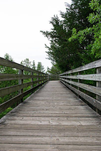 istock Wooden stairs in the park. 2231020609