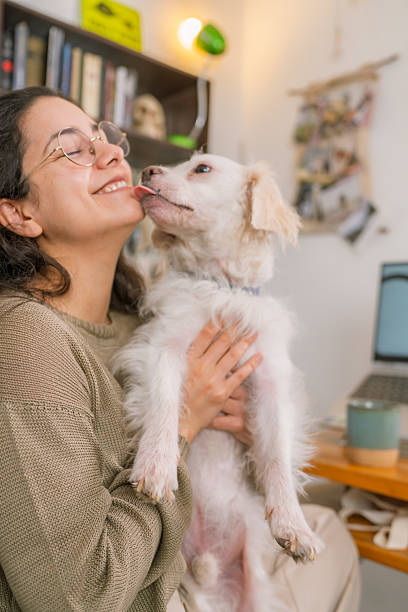 istock Graphic designer receiving affection from her dog in home office 2231021332