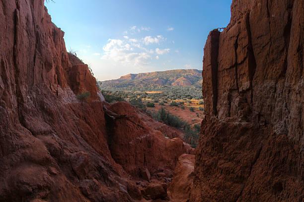 A stunning view of backlit mesquite cliffs at Palo Duro Canyon in Texas, showcasing the unique rock formations and natural beauty of the area.