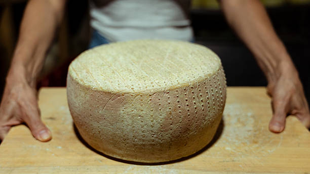 istock Cheesemaker showing a wheel of fresh cheese in the dairy 2231023752