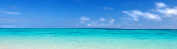 istock Serene Tropical Oceanfront Under a Clear Blue Sky with Gentle Waves 2231023884