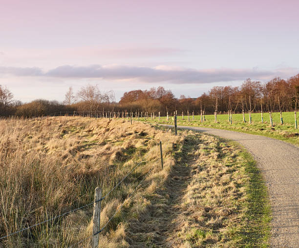 A tranquil countryside scene featuring a winding gravel path amidst grassy fields under a pink-hued evening sky. The view includes rustic fencing and tall grasses, evoking serenity and rural charm.