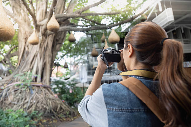 istock Creative photographer capturing nature's beauty 2231031527