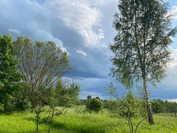 istock A Serene Green Landscape Beneath a Beautifully Cloudy Sky Provides a Peaceful Atmosphere 2231037135