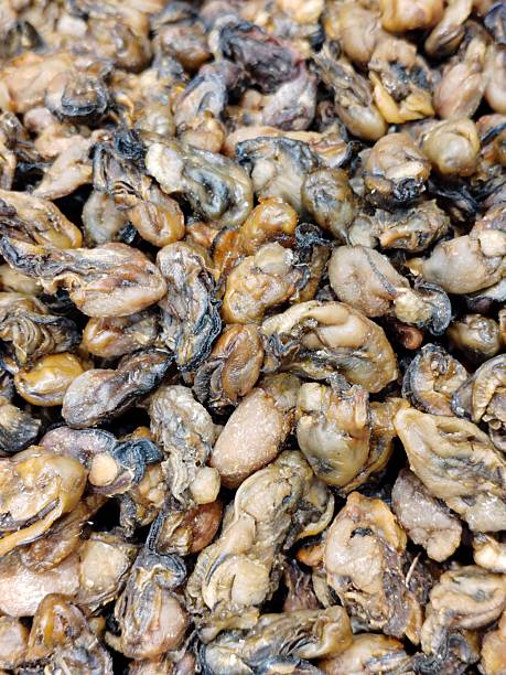 istock Dried golden oyster 2231037552