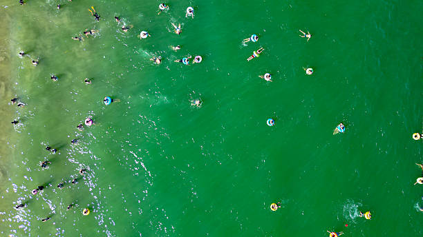 istock Shenzhen Dameisha Beach Summer Fun: Aerial Footage Compilation 2231049128