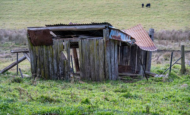 istock Abandoned shed in the New England Australia district 2231049857