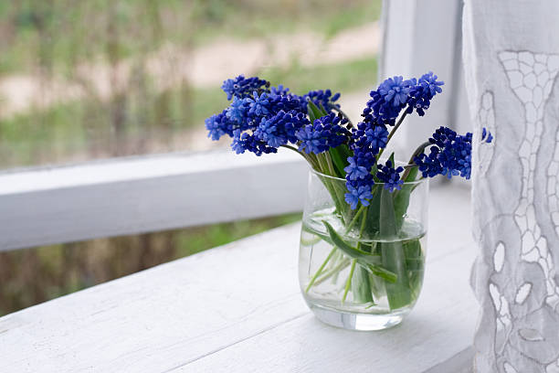 Spring mood