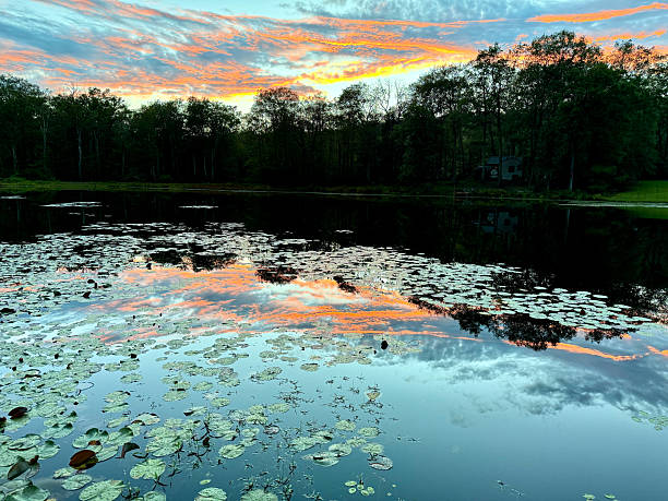 istock Lake at sunset with sky reflected on surface of water 2231051683