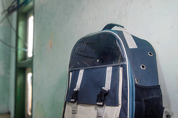 istock Side view of a blue and white pet carrier backpack with a transparent window and ventilation holes, designed for transporting small animals, in an indoor environment 2231053726